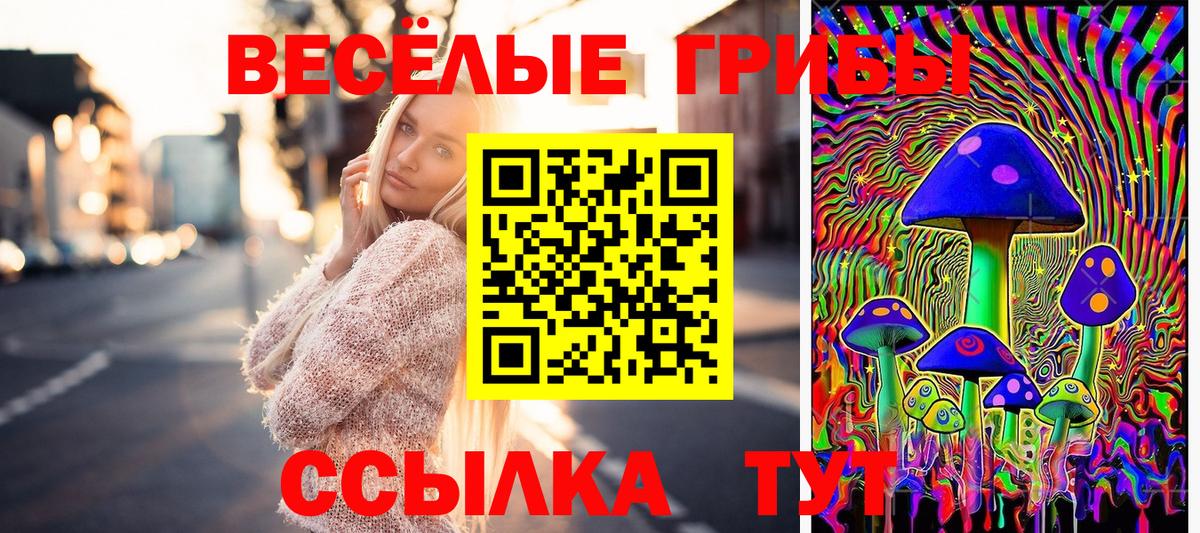 Псилоцибиновые грибы Psilocybine cubensis  Вход с VPN  Чехов 
